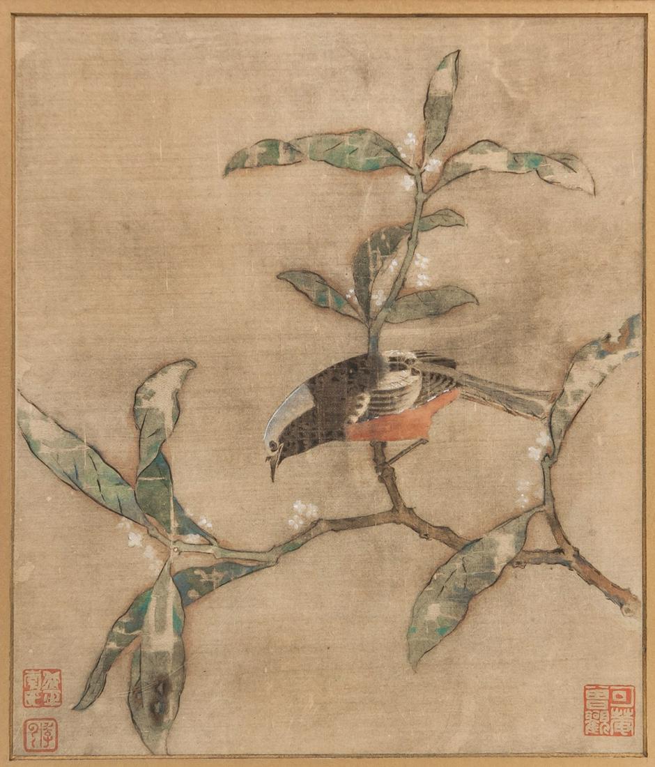 Song - Birds On Bough: Song - Birds On Bough Ink And Color On Silk, Album Leaf Framed. Three Seals 26 X 22 cm 宋 - 花鳥圖 鏡心：設色絹本鈐印ʍ