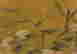 item-78613338=3