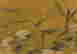 item-78613338=4