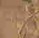 item-103925770=2