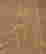 item-103925770=7