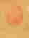 item-120032829=11