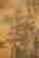 item-120032829=5