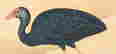 item-120032831=14