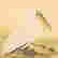item-120032831=18