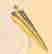 item-120032831=19