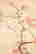 item-120032943=2