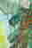 item-129087734=7