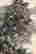 item-129087736=2