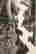 item-129087737=5