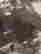 item-136672551=10