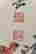 item-136672555=5