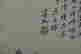 item-44118445=3