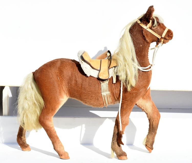 MiniatURE Horse Taxidermy: Real taxidermy miniature horse. 29"L x 31"H x 9"W