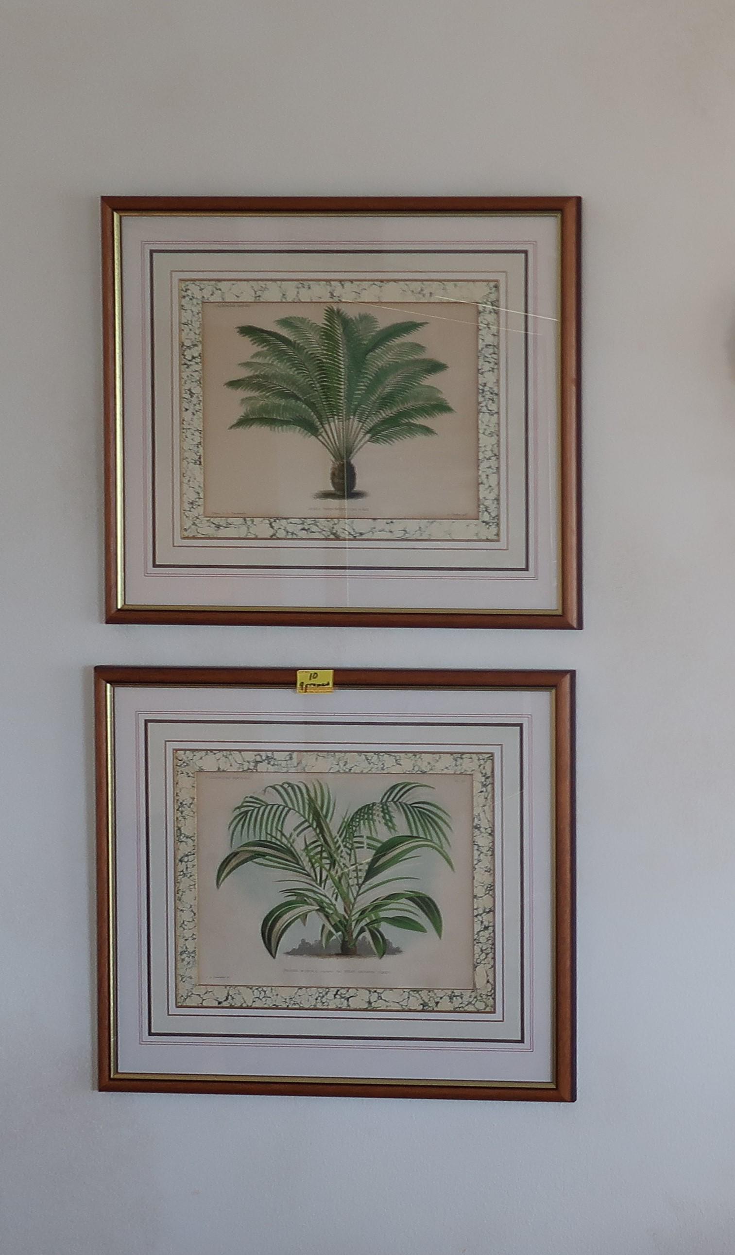 4 Botanical Prints Greens Palms (1 of 5)