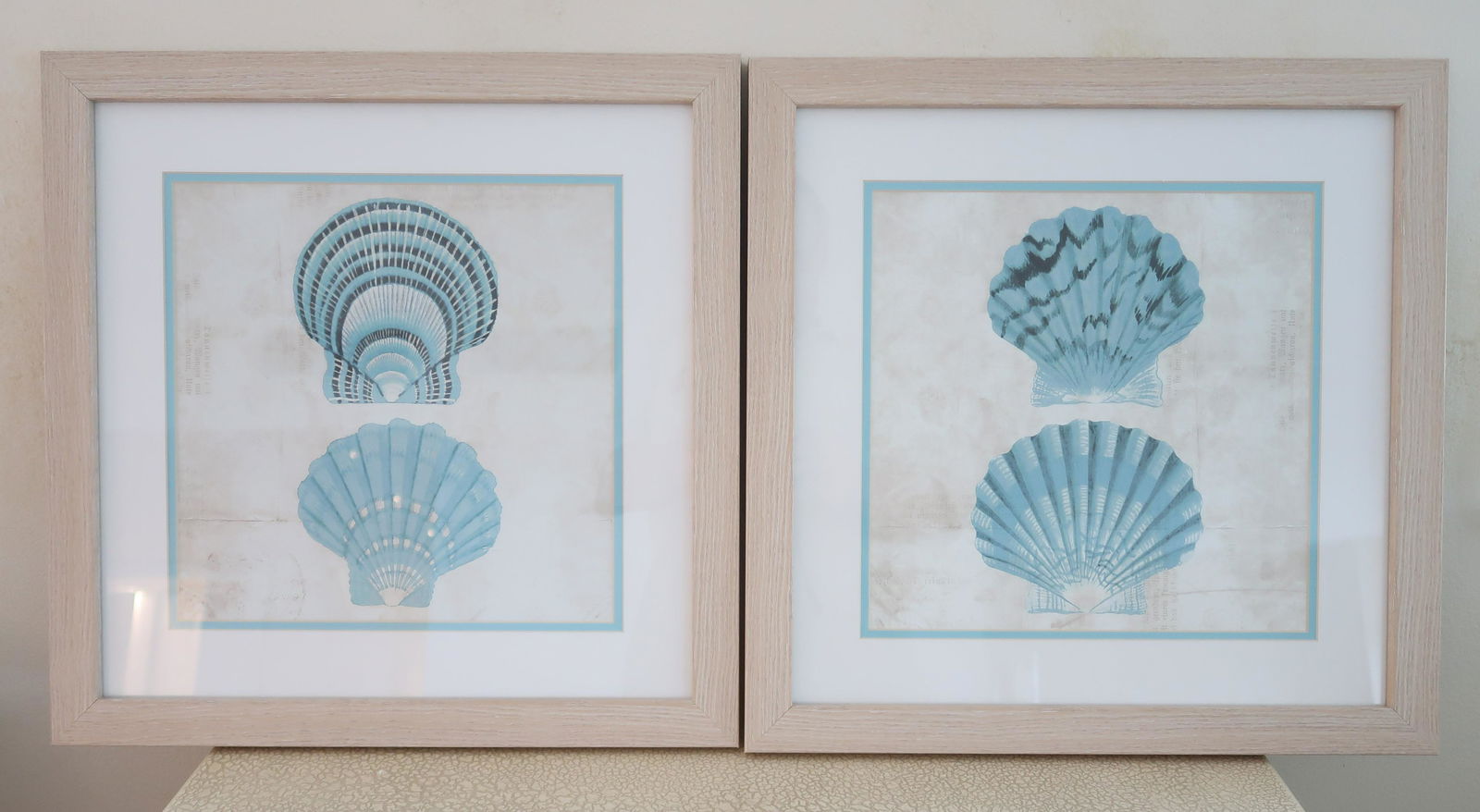 2 Photographic Shell Prints (1 of 4)