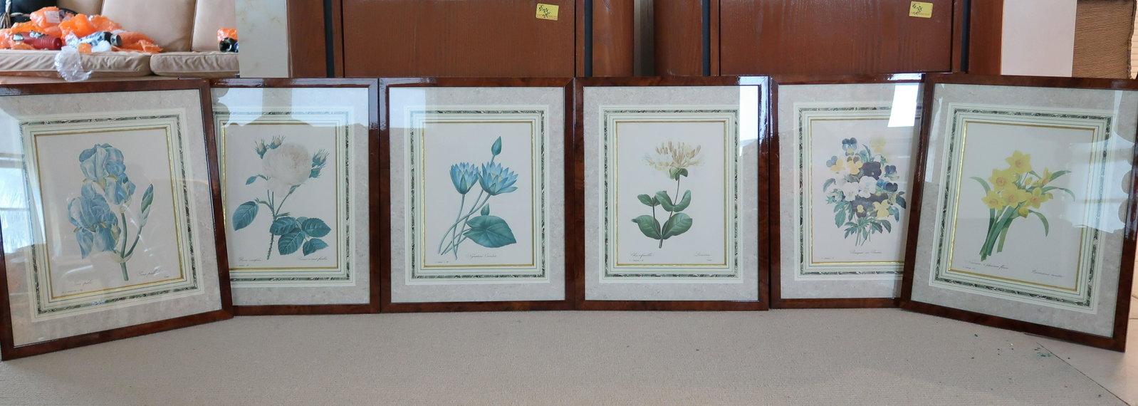 6 Frames Prints Flowers Antique Style: Size: 18" x 15" 6 Frames Prints Flowers Antique Style