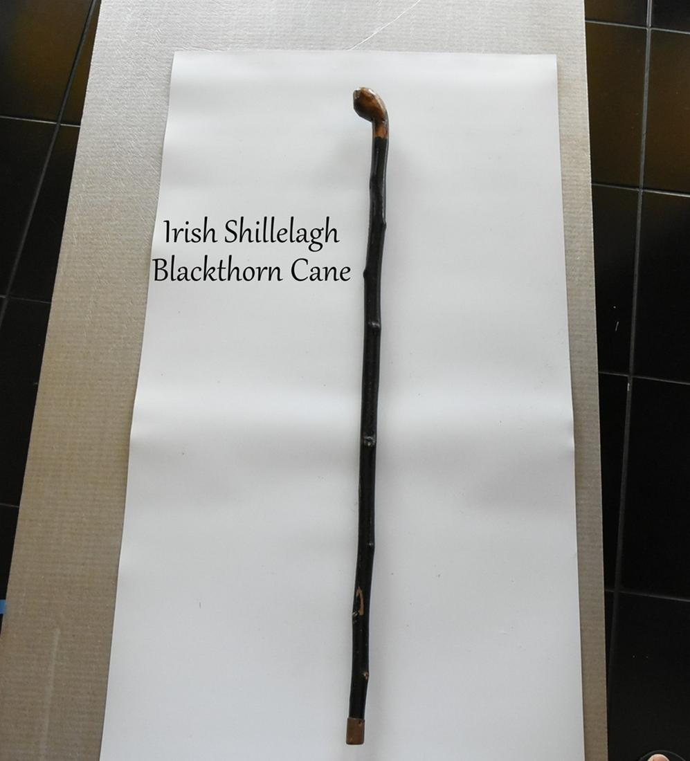 Irish Shillelagh Blackthorn Cane: 36"L Vintage Irish Blackthorn Cane
