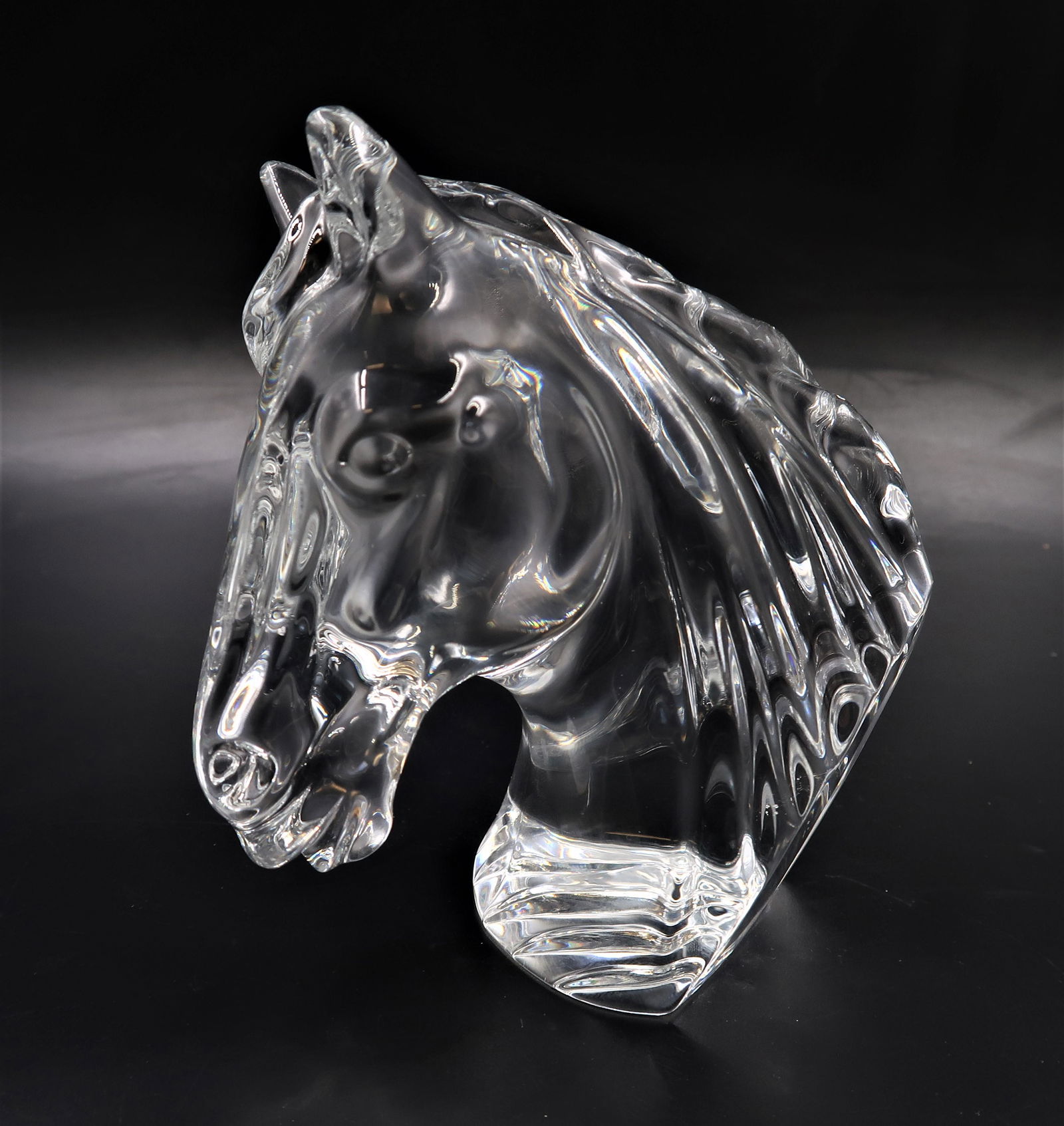 Crystal Horse Head (1 of 4)