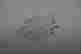 item-119662278=4