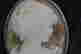 item-119662287=3