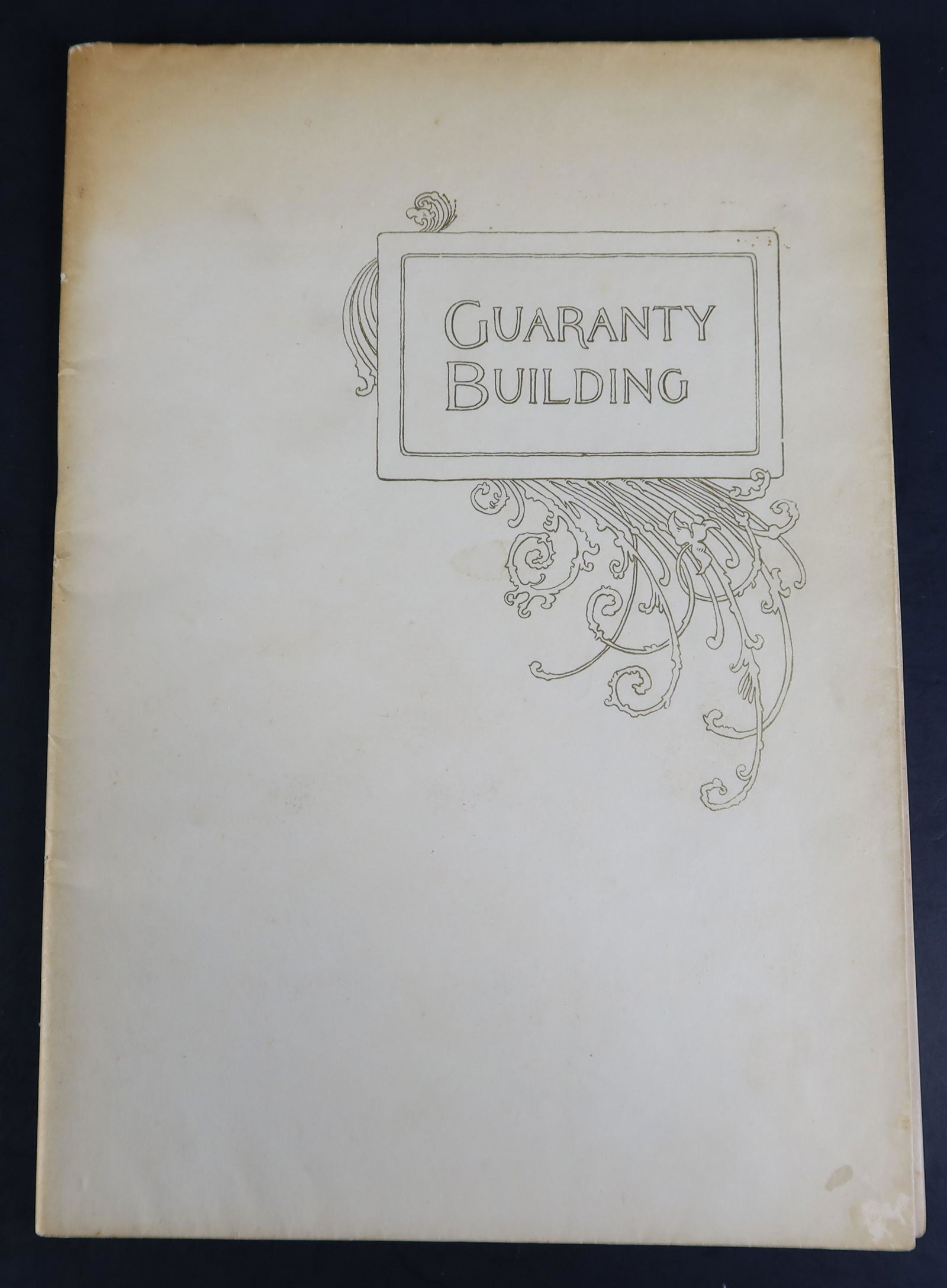 Buffalo NY 1896 original the Guaranty Building: Buffalo NY 1896 original the Guaranty Building