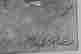 item-128881245=2