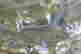 item-131315473=6