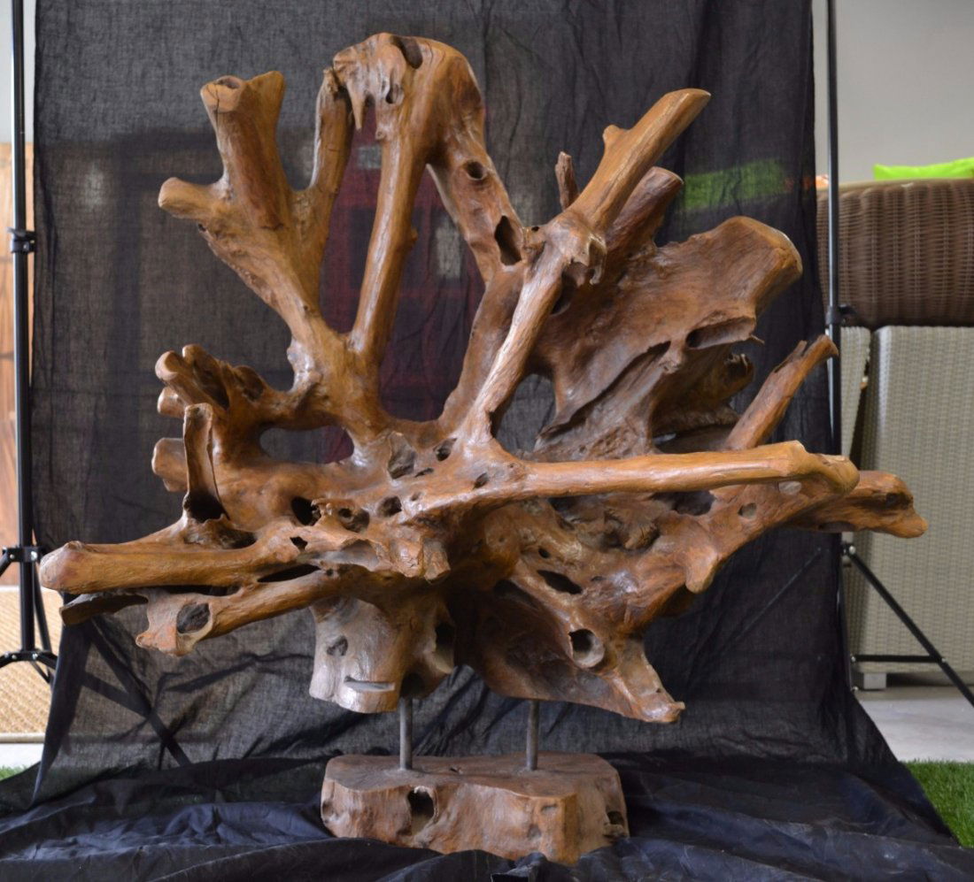 Natural teak root sculpture (1 of 1)