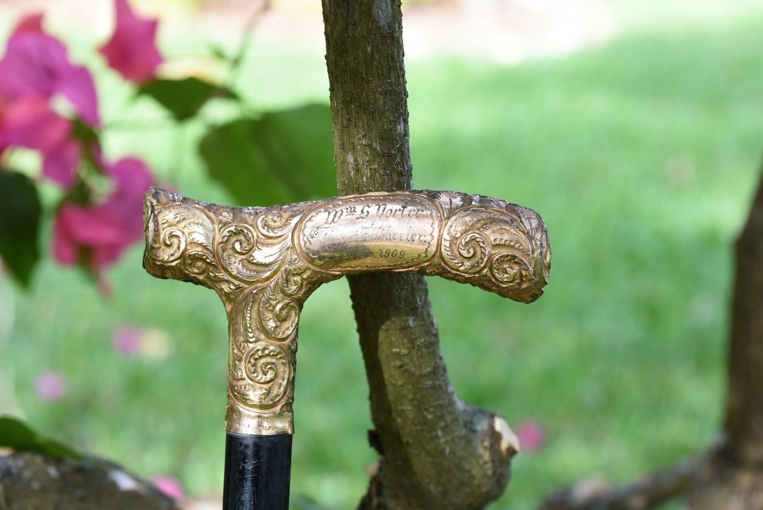 Cane with gold rollplate handle (1 of 4)