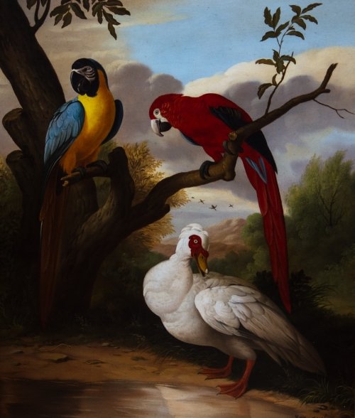 Parrots: Jacob RAY (born in 1957) Parrots Oil on canvas; signed on lower right
