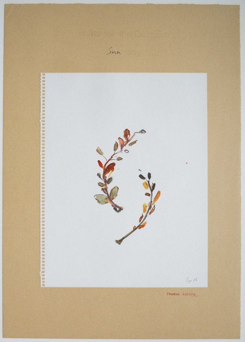 Fruit of the desgort, 1986 (1 of 3)