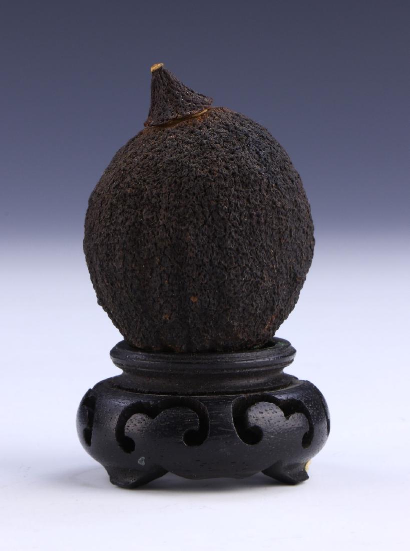 A CHINESE NUT CARVED SNUFF BOTTLE (1 of 3)