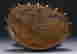 item-55154758=4
