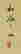 item-55154778=3