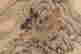 item-55154781=2