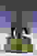 item-57409942=2