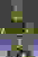 item-57409945=3