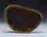 item-59734425=4