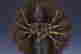 item-61449037=3