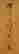 item-33310534=3