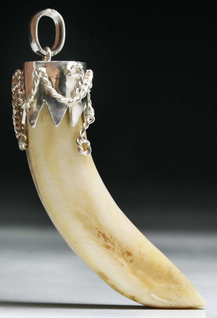 A Tiger Tooth Mounted On Silver Pendant: A Tiger Tooth Mounted On Silver Pendant; Size: H: 2-1/4"