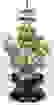 item-34427071=3