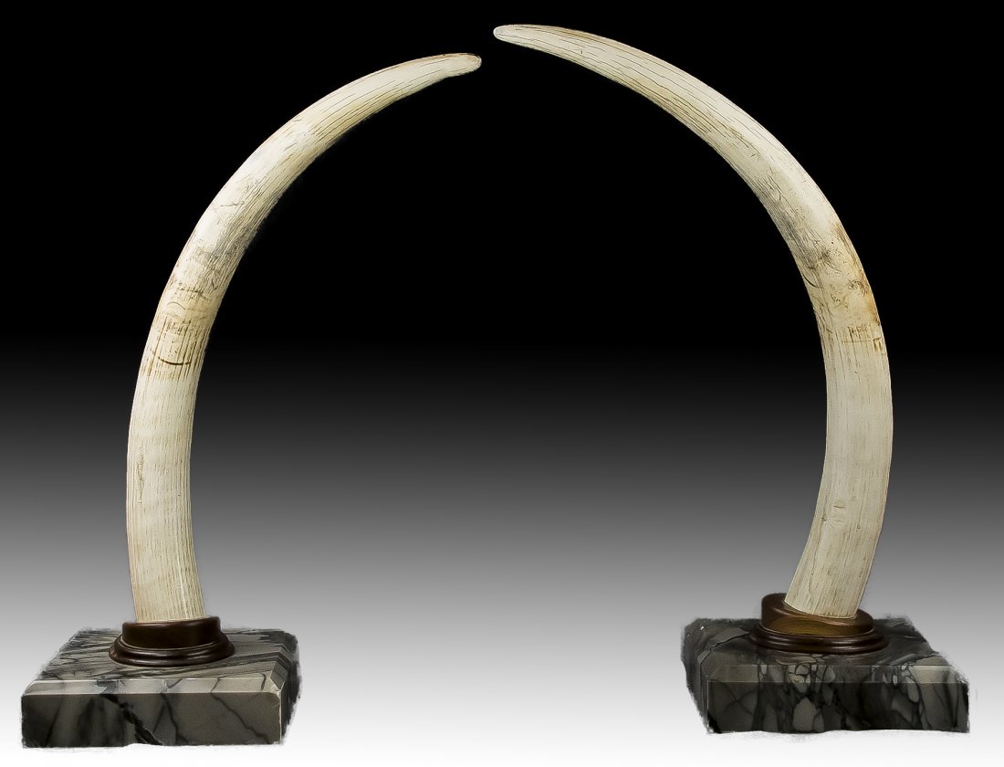 Pair Antique Ivory Tusks With Marble Stands (1 of 5)