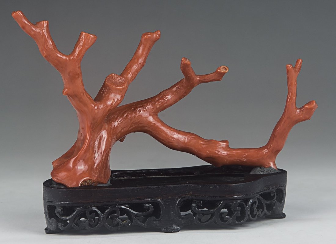 A Natural Momo Red Coral Branch (1 of 3)