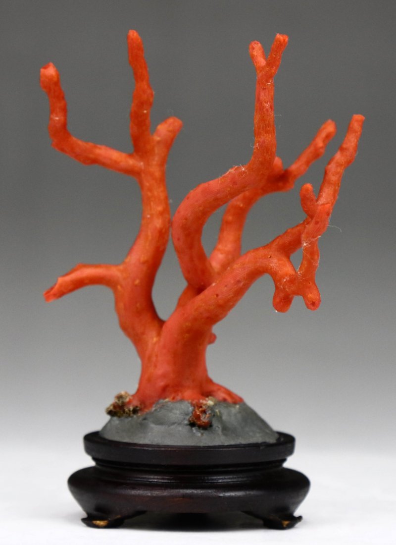 A Natural Red Coral Branch On Stand (1 of 4)