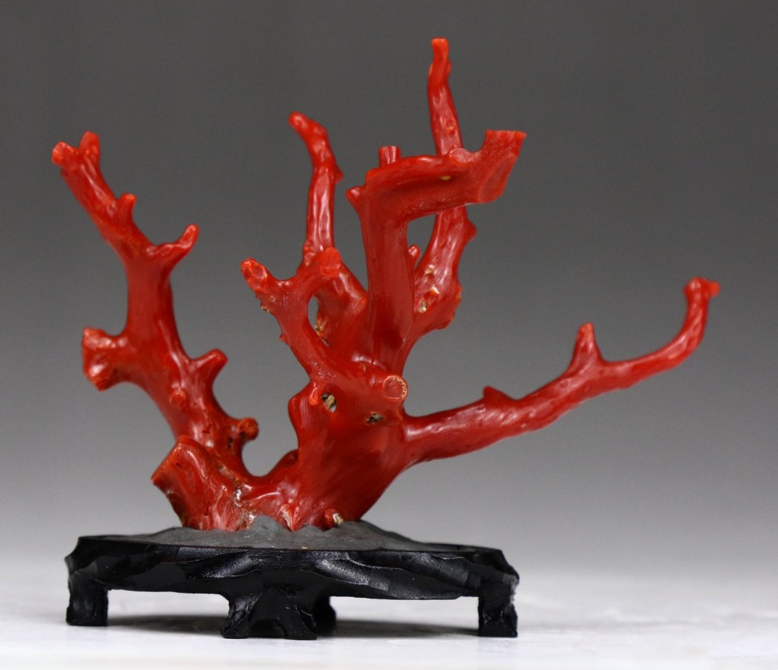 A Natural Red Coral Branch On Stand (1 of 4)