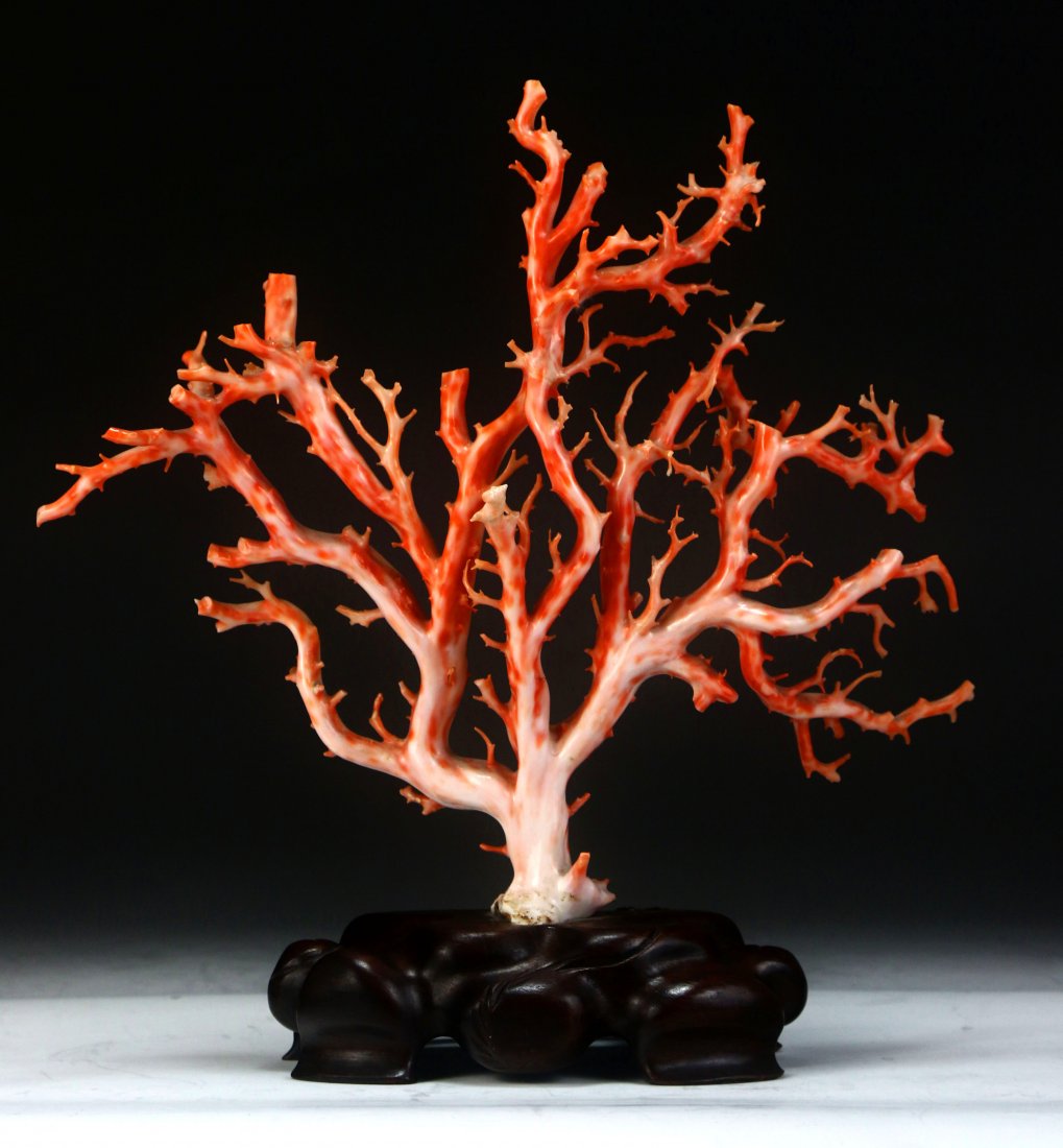 A Natural Pink Coral Branch On Stand (1 of 5)
