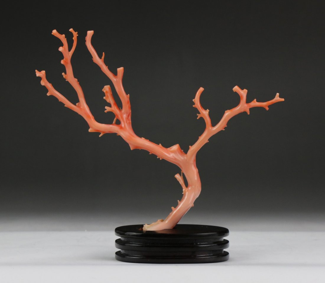 A Natural Pink Coral Branch On Stand (1 of 4)