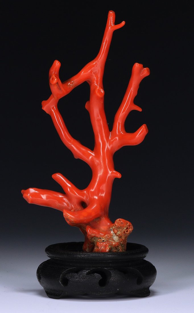 A Fine Red Coral Branch (1 of 4)